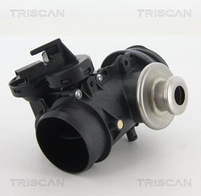 TRISCAN 8813 28201 Agr-Ventil