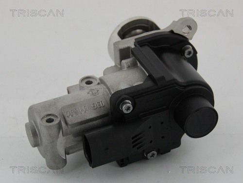 TRISCAN 8813 29002 AGR-Ventil