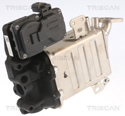 TRISCAN 8813 29005 AGR-Ventil