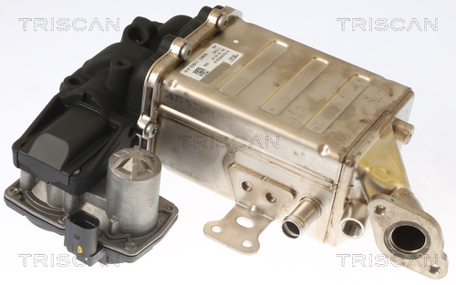 TRISCAN 8813 29006 AGR-Ventil