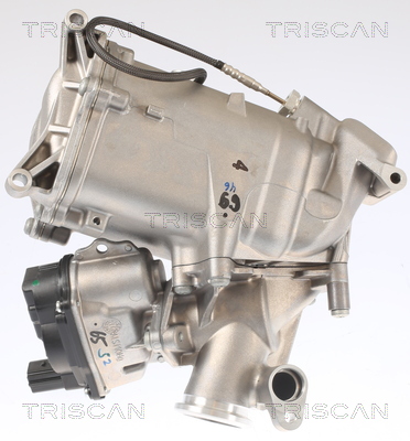 TRISCAN 8813 29008 AGR-Ventil