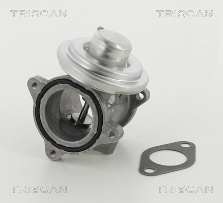 TRISCAN 8813 29011 AGR-Ventil