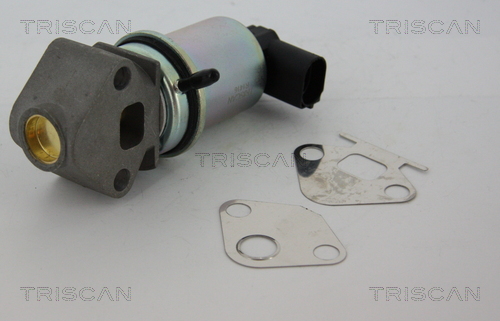 TRISCAN 8813 29011 AGR-Ventil