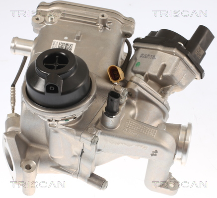 TRISCAN 8813 29012 Agr-Ventil