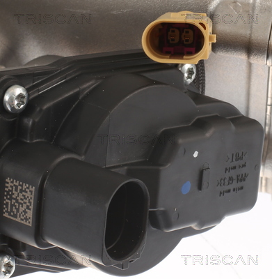 TRISCAN 8813 29013 AGR-Ventil