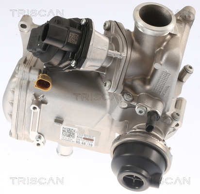 TRISCAN 8813 29013 AGR-Ventil