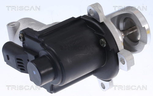 TRISCAN 8813 29015 AGR-Ventil