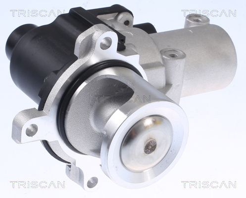 TRISCAN 8813 29015 AGR-Ventil