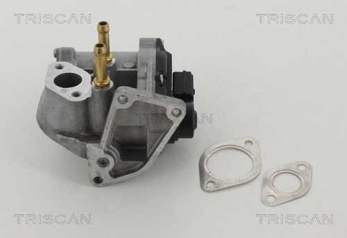 TRISCAN 8813 29017 AGR-Ventil