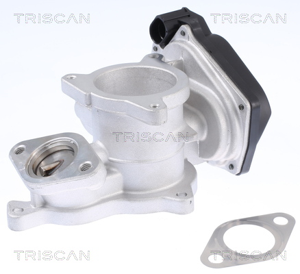 TRISCAN 8813 29019 AGR-Ventil