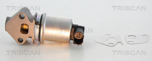 TRISCAN 8813 29024 AGR-Ventil