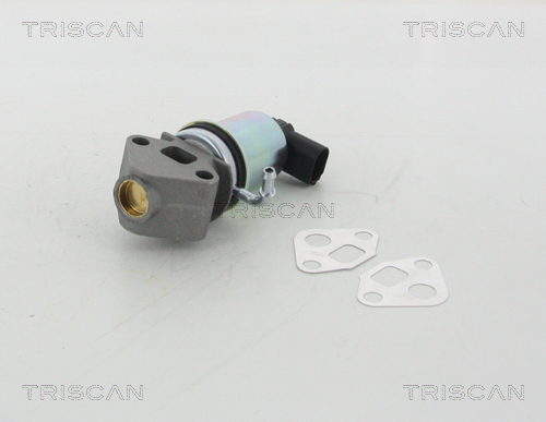 TRISCAN 8813 29049 Agr-Ventil