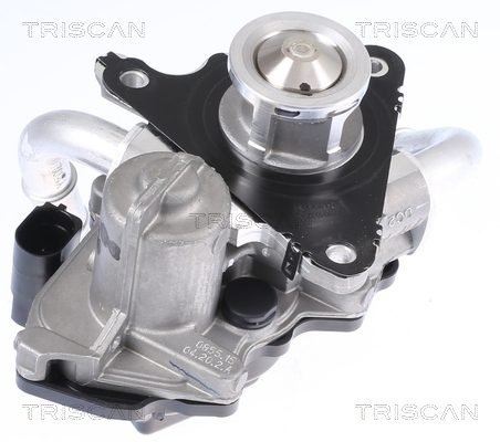 TRISCAN 8813 29058 AGR-Ventil