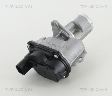 TRISCAN 8813 29065 Agr-Ventil