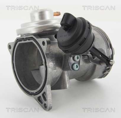 TRISCAN 8813 29070 AGR-szelep