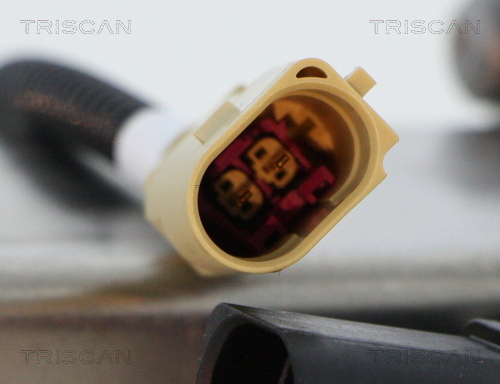 TRISCAN 8813 29071 Agr-Ventil