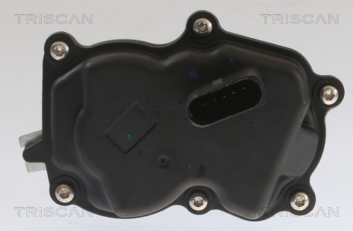 TRISCAN 8813 29083 AGR-Ventil