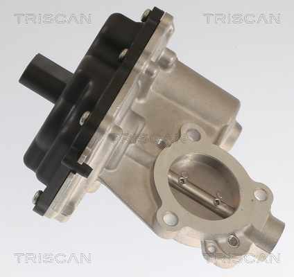 TRISCAN 8813 29083 AGR-Ventil