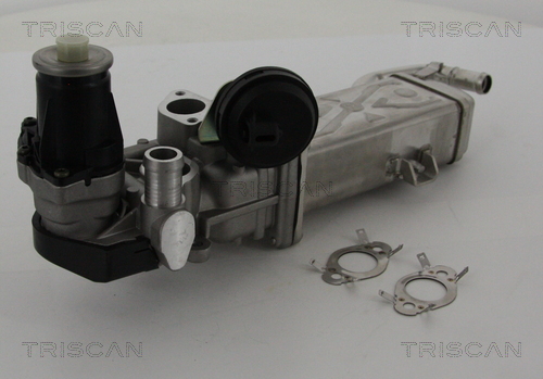TRISCAN 8813 29102 Agr-Ventil
