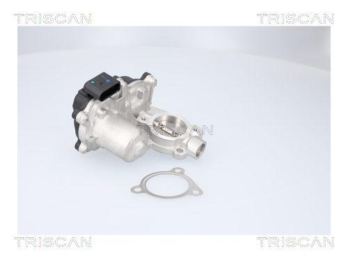 TRISCAN 8813 29116 AGR-Ventil
