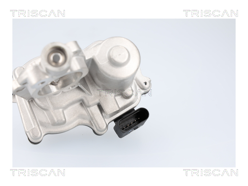 TRISCAN 8813 29116 AGR-Ventil