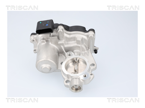 TRISCAN 8813 29116 AGR-Ventil