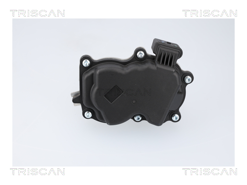 TRISCAN 8813 29116 AGR-Ventil