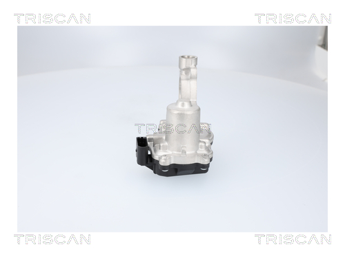 TRISCAN 8813 29116 AGR-Ventil