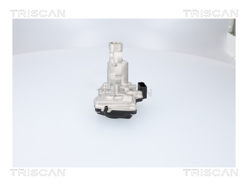 TRISCAN 8813 29116 AGR-Ventil