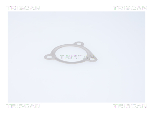 TRISCAN 8813 29116 AGR-Ventil