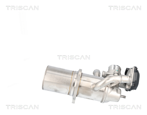 TRISCAN 8813 29117 AGR-Ventil