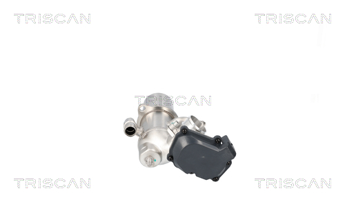TRISCAN 8813 29117 AGR-Ventil