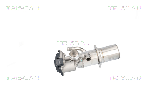 TRISCAN 8813 29117 AGR-Ventil