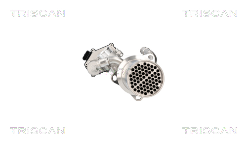 TRISCAN 8813 29117 AGR-Ventil