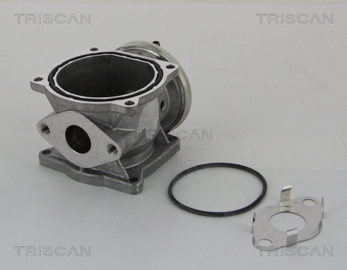 TRISCAN 8813 29301 AGR-Ventil