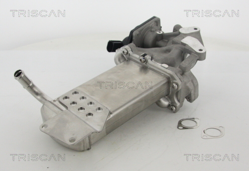 TRISCAN 8813 29302 AGR-Ventil