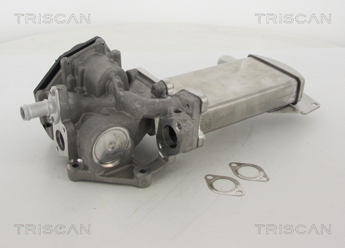 TRISCAN 8813 29305 AGR-Ventil