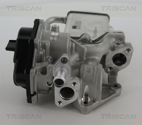 TRISCAN 8813 29305 AGR-Ventil