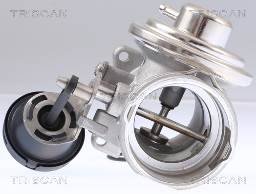 TRISCAN 8813 29308 AGR-Ventil