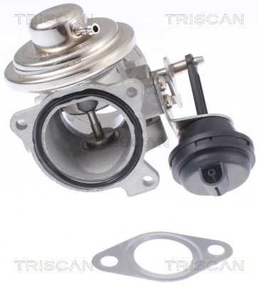 TRISCAN 8813 29308 AGR-Ventil