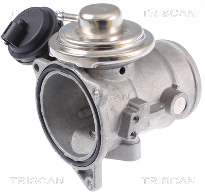 TRISCAN 8813 29309 AGR-Ventil