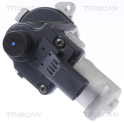 TRISCAN 8813 29310 AGR-Ventil