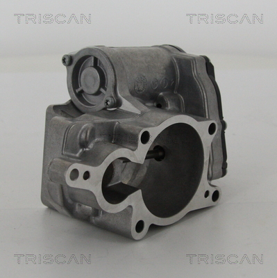 TRISCAN 8813 29311 Agr-Ventil