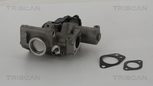 TRISCAN 8813 29312 AGR-Ventil