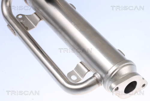 TRISCAN 8813 29320 Kühler, Abgasrückführung