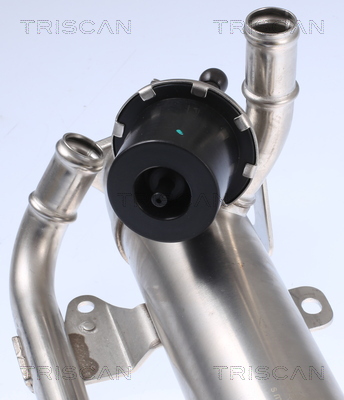 TRISCAN 8813 29320 Kühler, Abgasrückführung