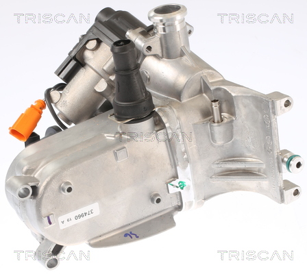 TRISCAN 8813 29321 AGR-Ventil