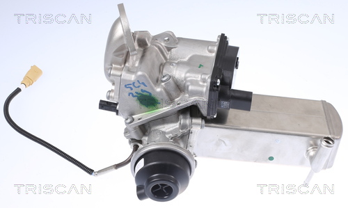 TRISCAN 8813 29327 AGR-Ventil