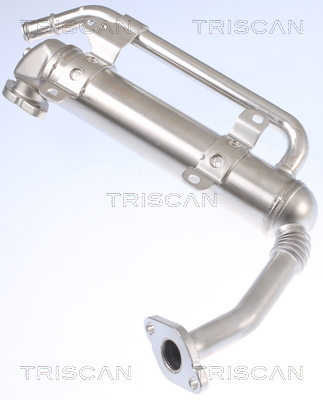 TRISCAN 8813 29335 Kühler, Abgasrückführung