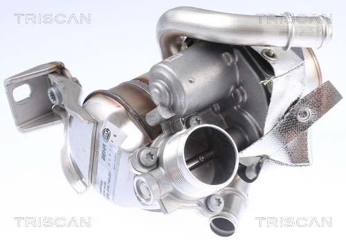 TRISCAN 8813 29337 Agr-Ventil
